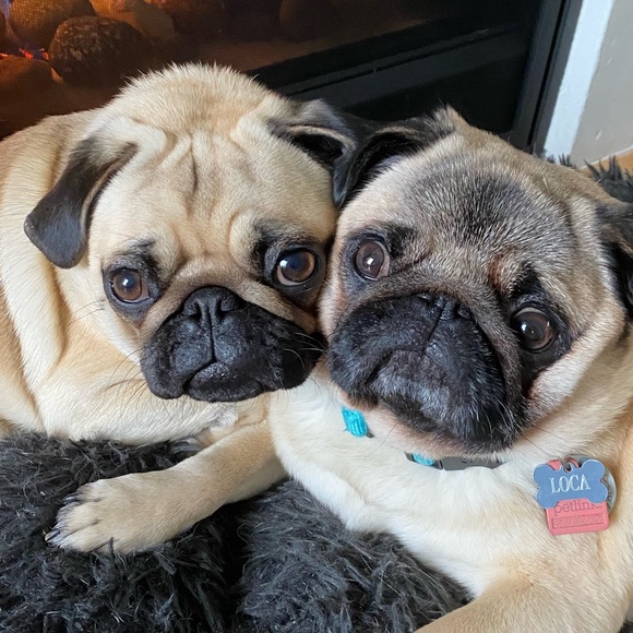 Meet your Posher, Becky - Picture 2 of 2